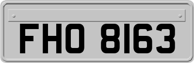 FHO8163