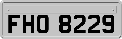 FHO8229