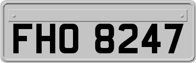 FHO8247