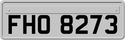 FHO8273