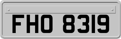 FHO8319
