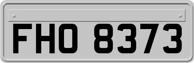 FHO8373