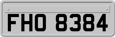 FHO8384