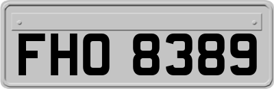 FHO8389