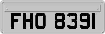 FHO8391