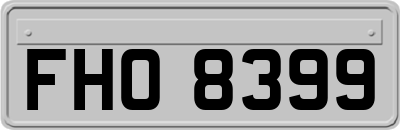 FHO8399