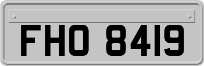 FHO8419