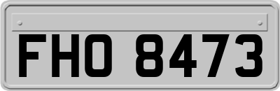 FHO8473
