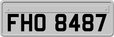FHO8487
