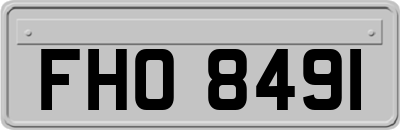 FHO8491