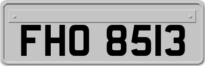 FHO8513