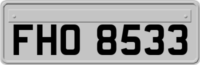 FHO8533