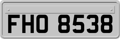 FHO8538