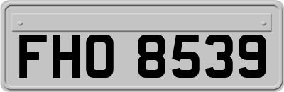 FHO8539