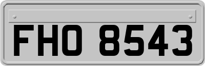 FHO8543