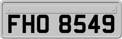 FHO8549