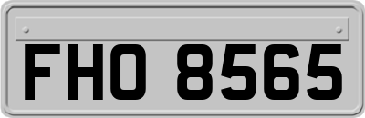 FHO8565