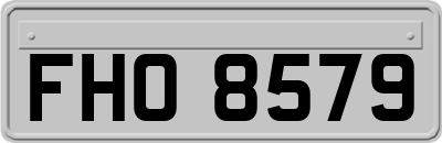 FHO8579