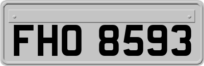 FHO8593