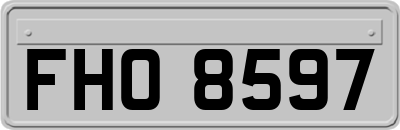 FHO8597