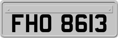 FHO8613