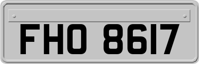 FHO8617