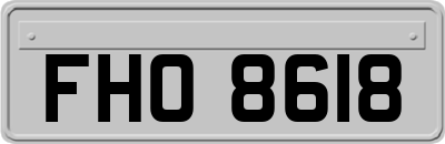 FHO8618