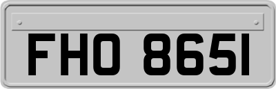 FHO8651