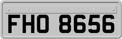 FHO8656