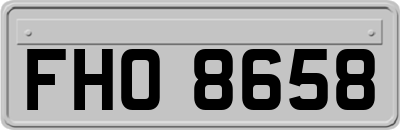 FHO8658