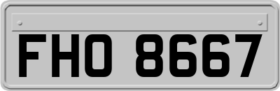 FHO8667