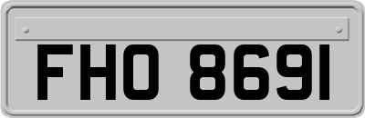 FHO8691