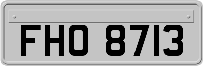 FHO8713