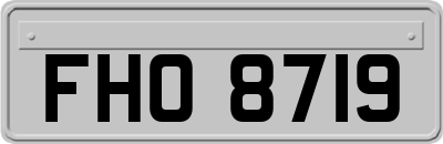 FHO8719