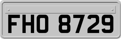 FHO8729