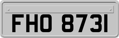 FHO8731