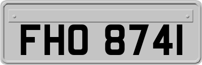 FHO8741