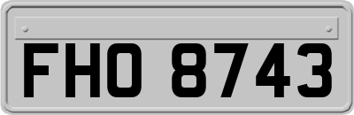 FHO8743