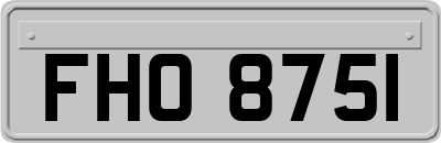 FHO8751