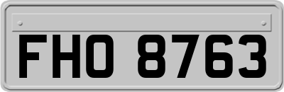 FHO8763
