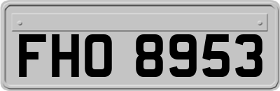 FHO8953