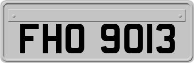 FHO9013