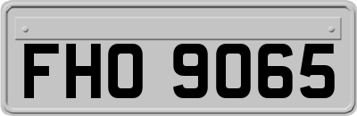 FHO9065