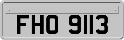 FHO9113