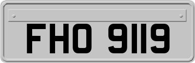 FHO9119