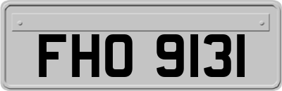 FHO9131