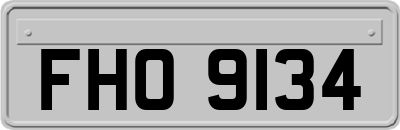 FHO9134
