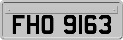 FHO9163