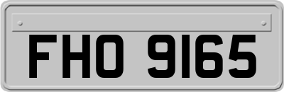 FHO9165