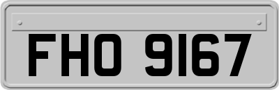 FHO9167